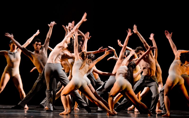 SE ABRE LA CONVOCATORIA A BAILARINES PARA PARTICIPAR DE LA GALA  “DANZAR POR LA PAZ”