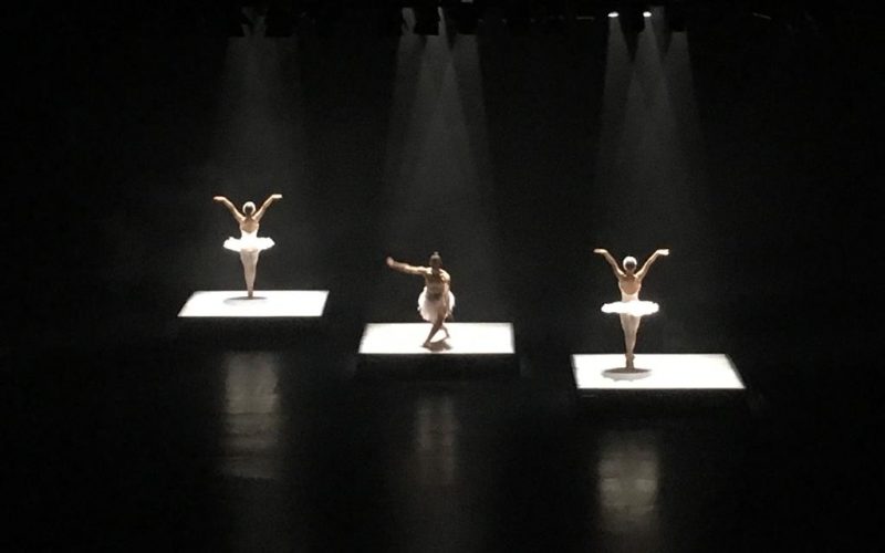 “La Muerte del Cisne” una impactante producción audiovisual del Teatro del Bicentenario