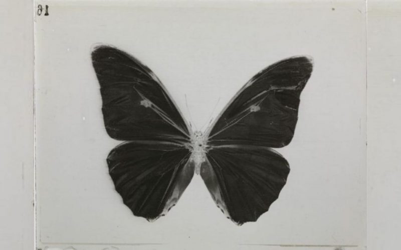 Studio Uno muestra su “Trabajo final” en Sala Auditórium del Teatro del Bicentenario