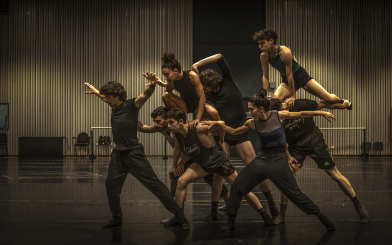 El Teatro del Bicentenario presenta la imperdible visita especial “Anima Animal”