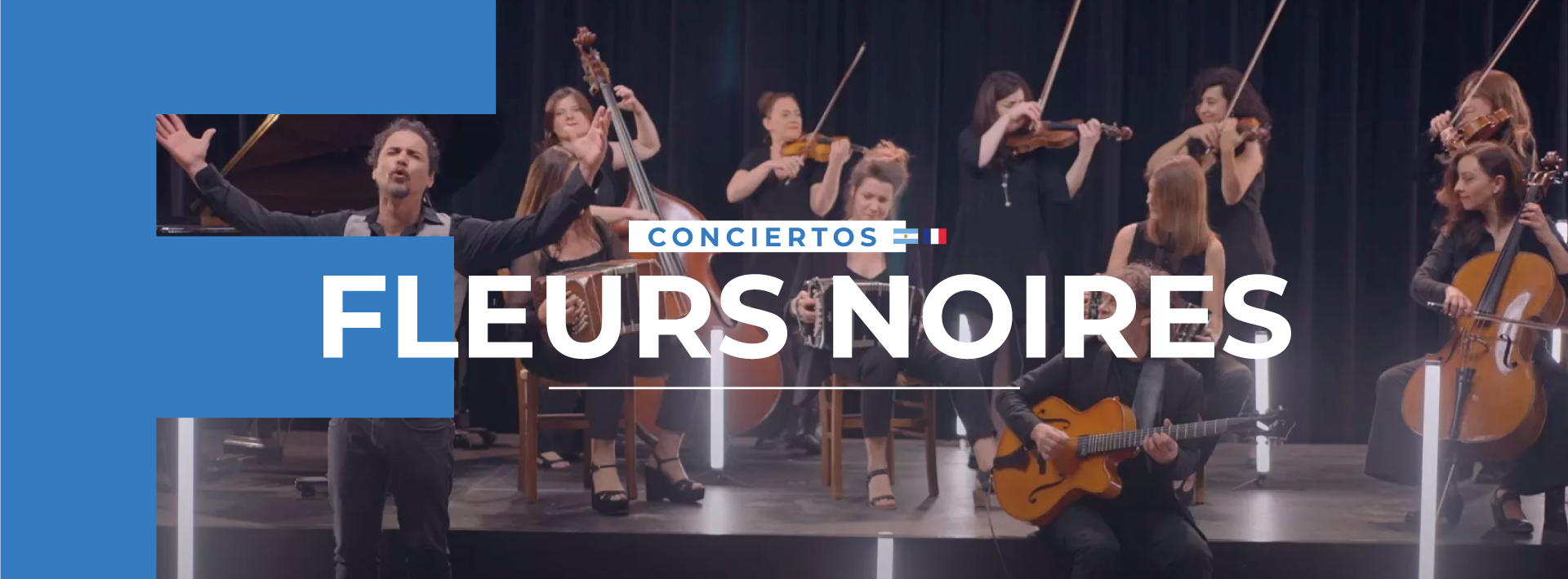 6-FLEURES-NOIRES(1)