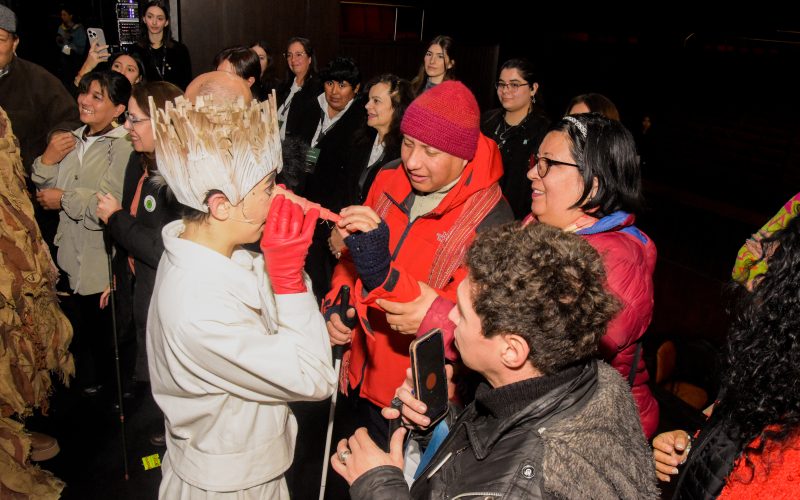 Un Pinocchio para todos: inclusión y acceso igualitario en el Teatro del Bicentenario