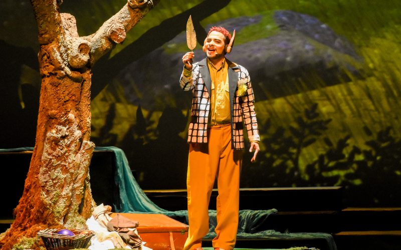 Chicos de toda la provincia viven la magia de Las Aventuras de Puck en el Teatro del Bicentenario