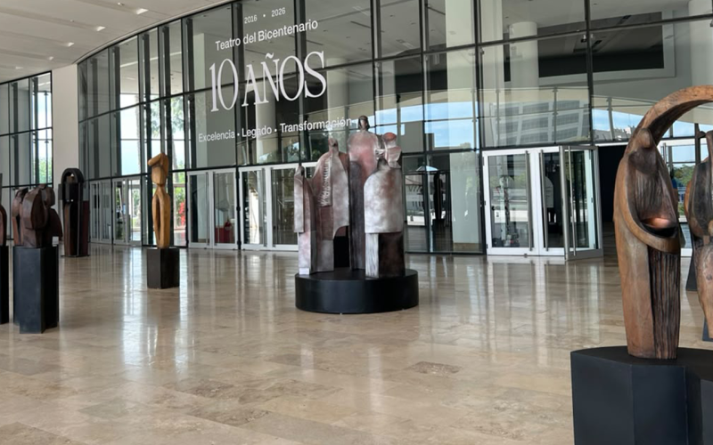 El Teatro del Bicentenario y el Museo Franklin Rawson presentan “Buscar la forma: Mirta Romero»
